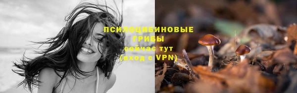 экстази Горняк