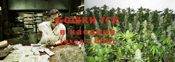 шишки Сосновка