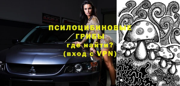экстази Горняк
