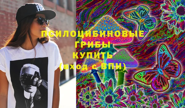 экстази Горняк