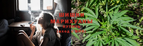 mdpv Горнозаводск