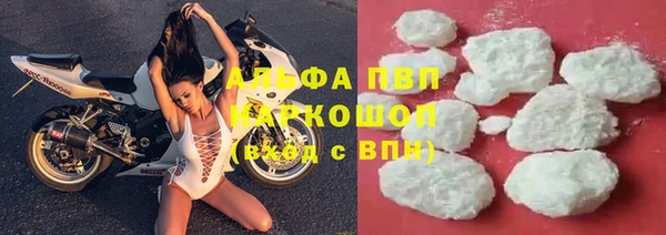 прущие крисы Горно-Алтайск